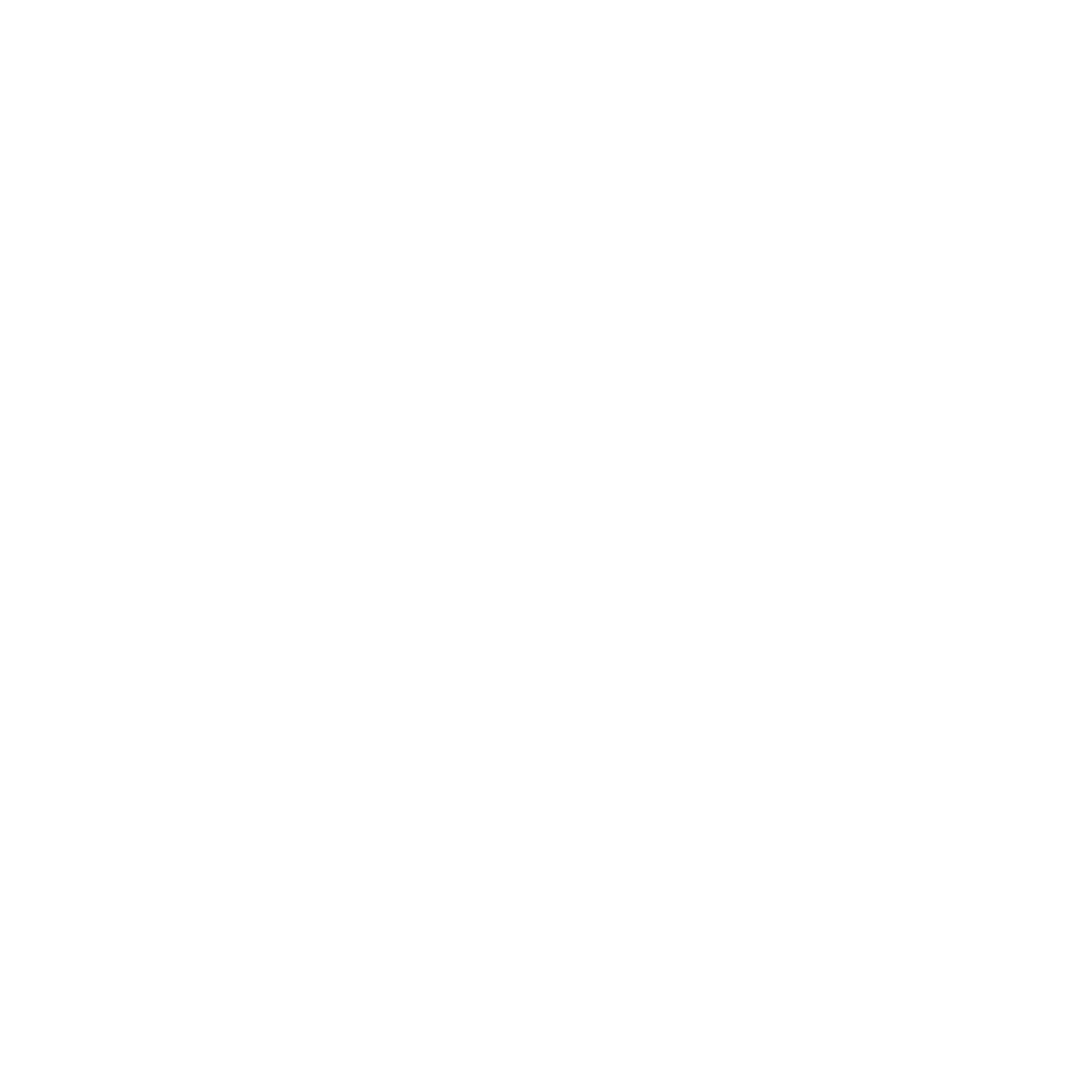 berndörferlogoweiß