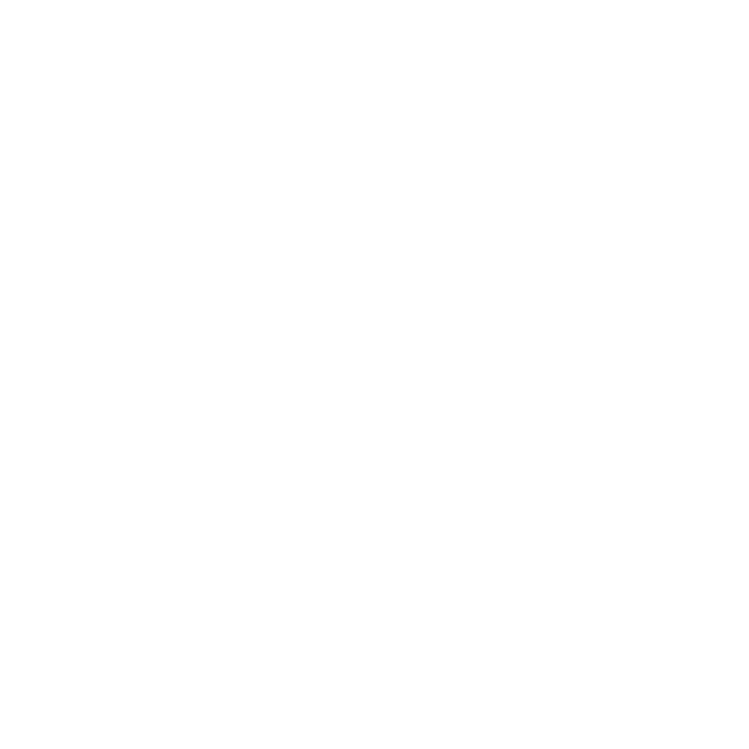 klaviere-steingraeber-logo-weiss